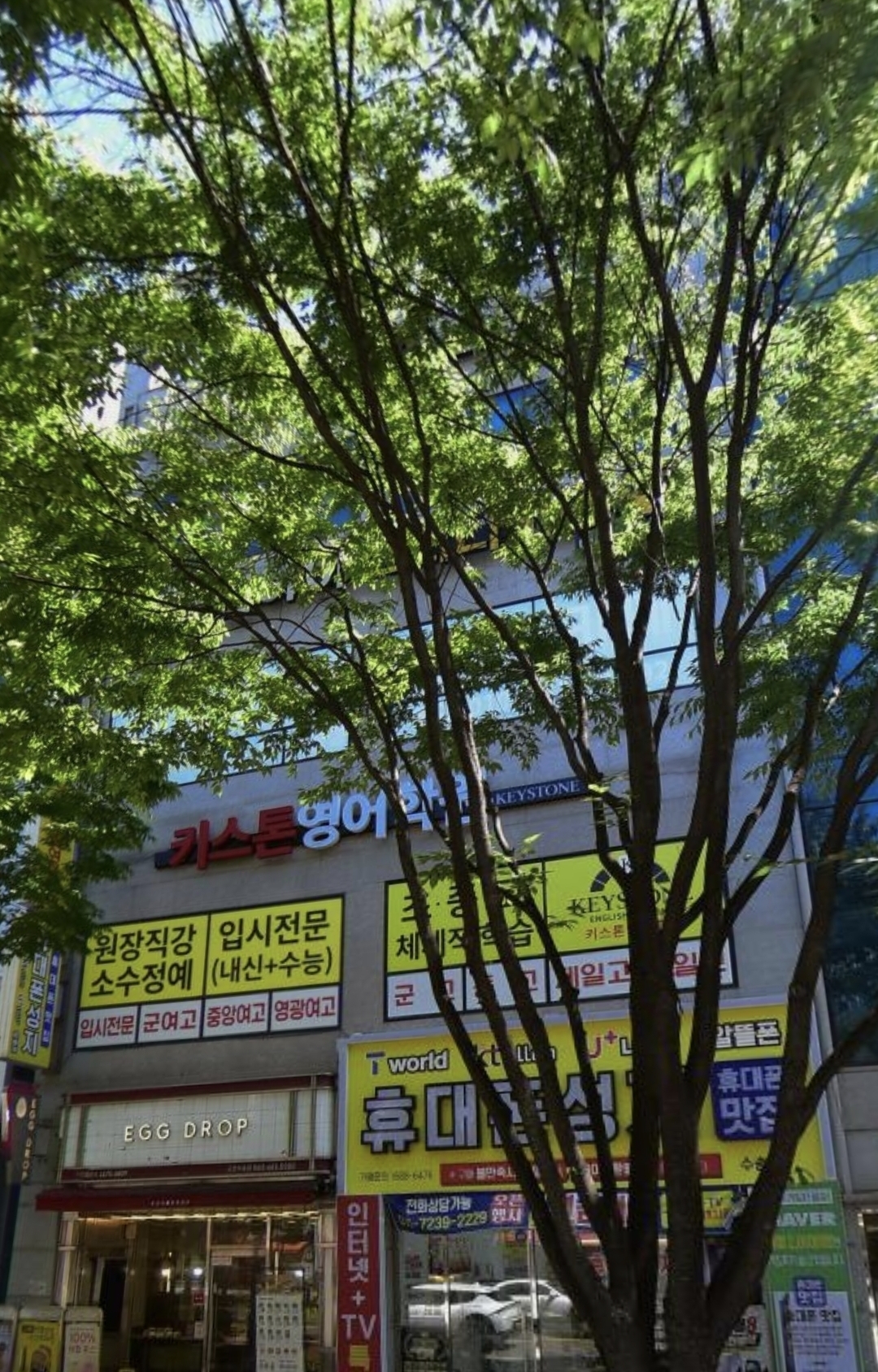 하드론수학과학전문학원