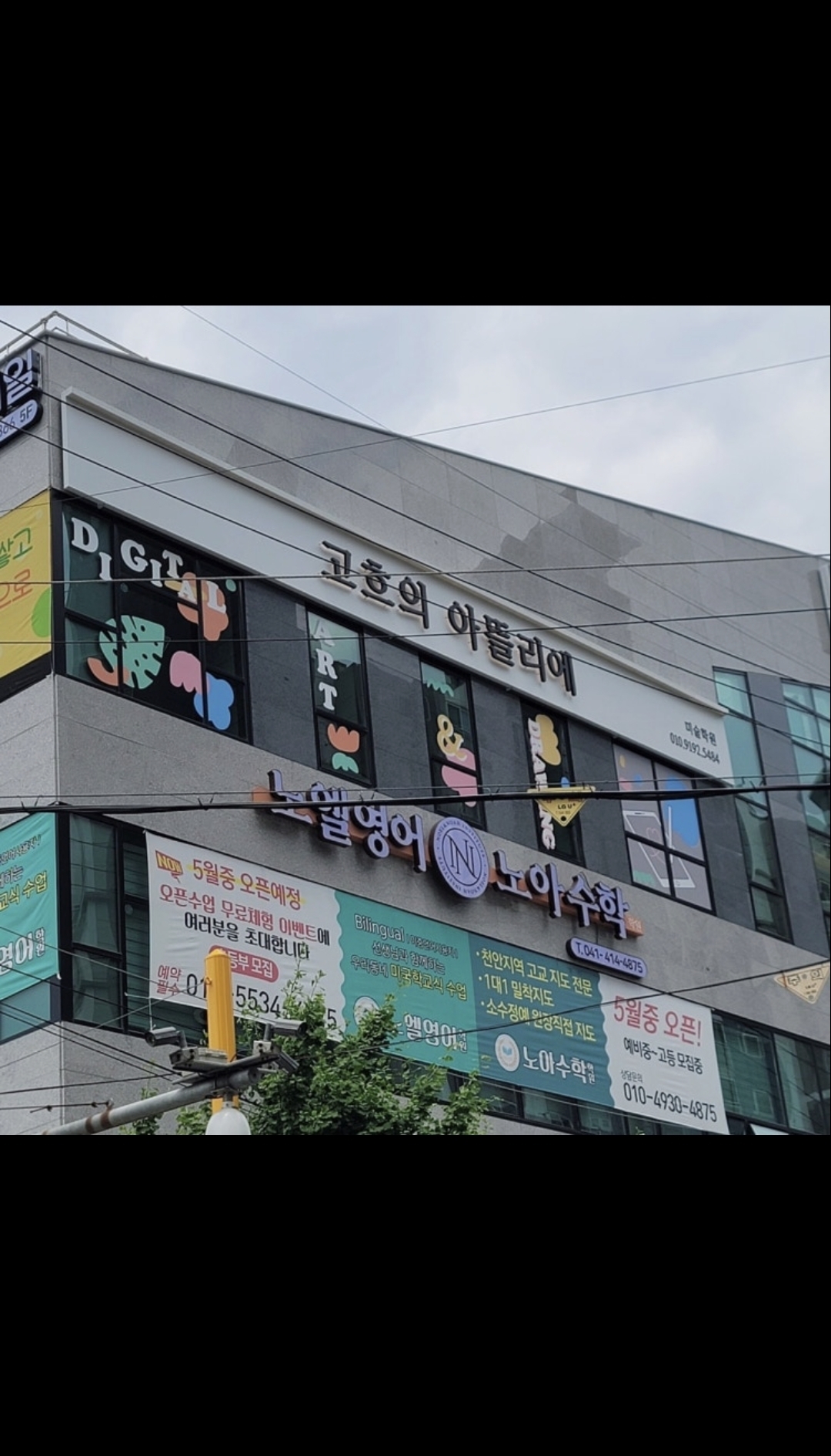 고흐의아뜰리에미술학원
