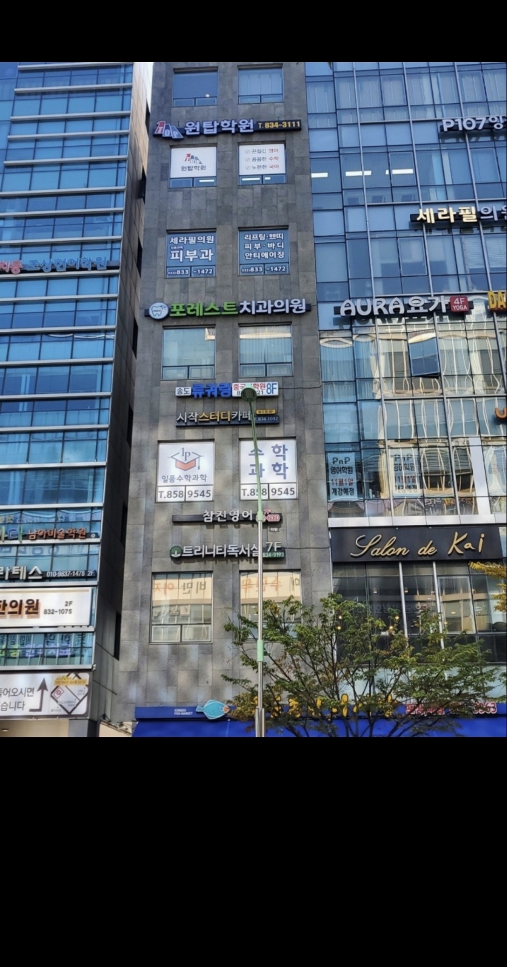 원탑학원