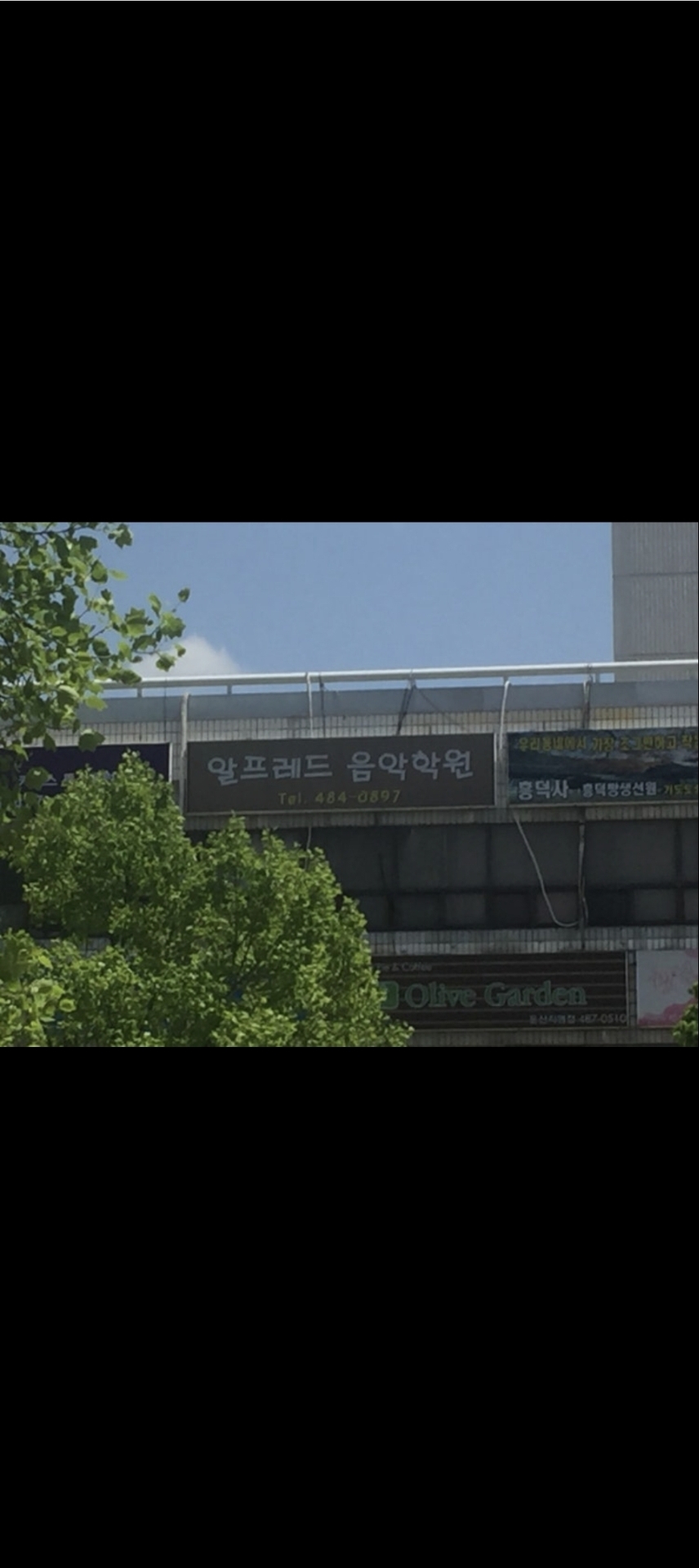 알프레드음악학원