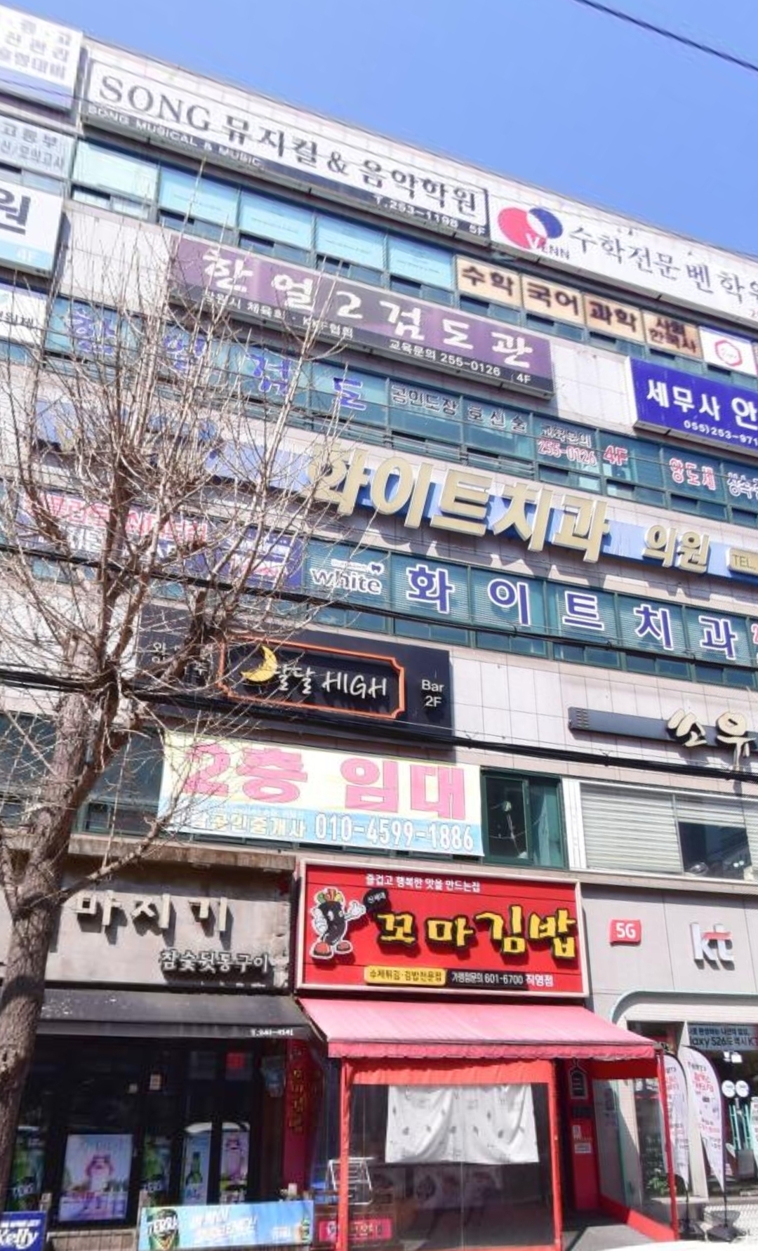 SONGMUSICAL&MUSIC학원