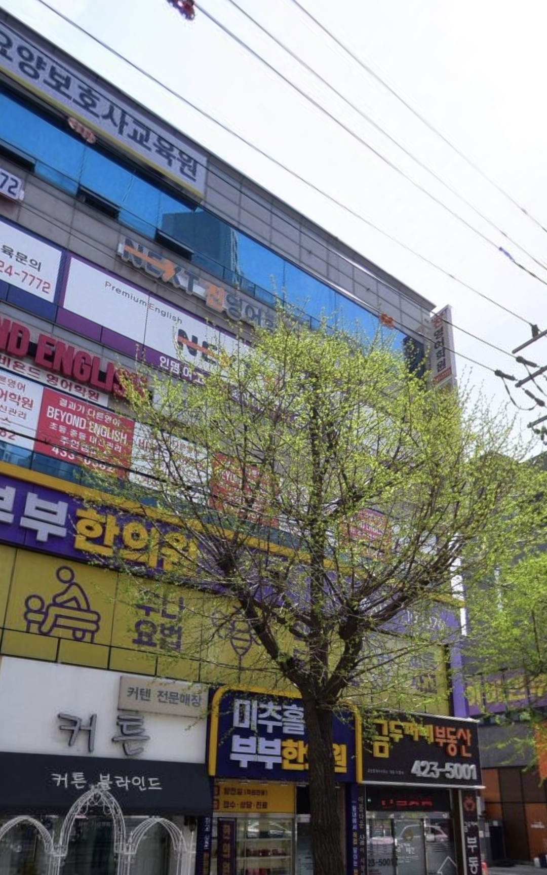 넥스트진영어학원