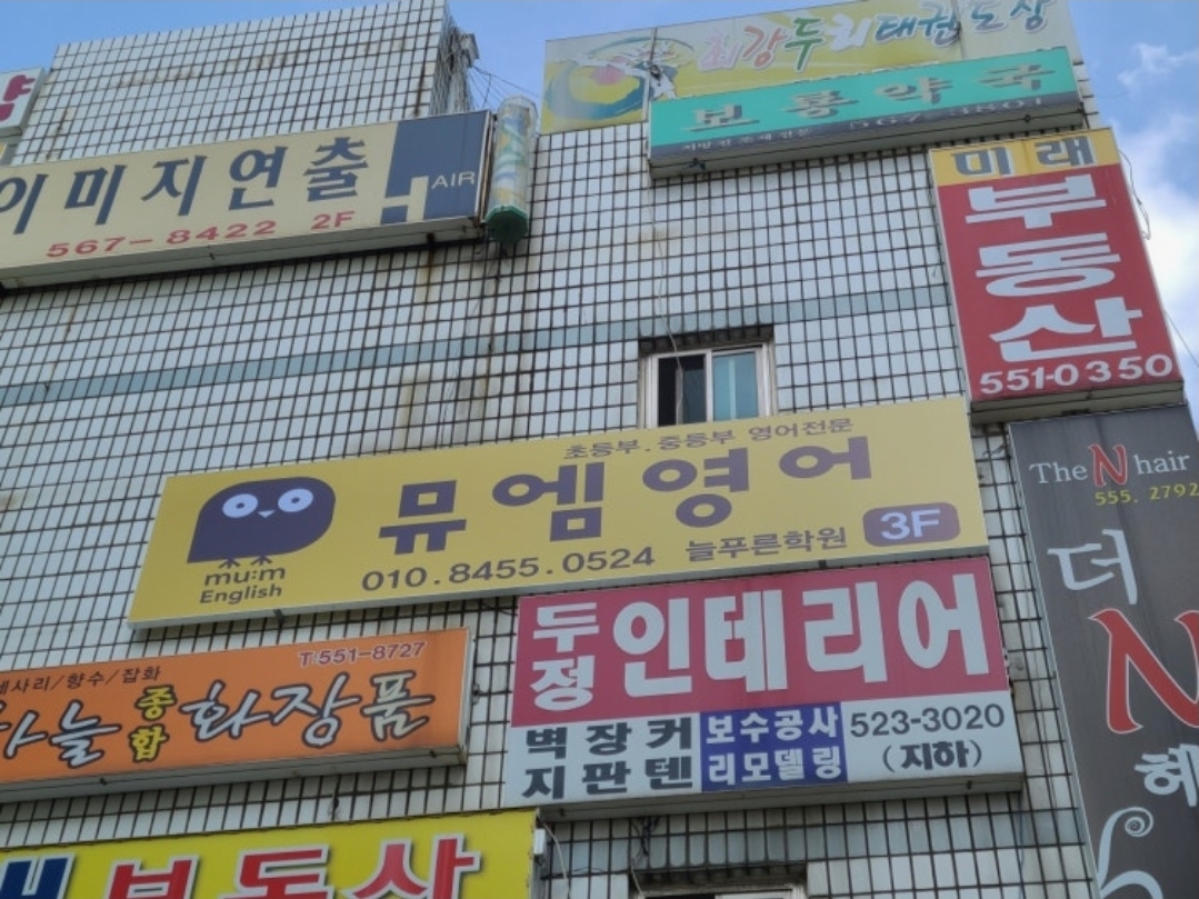 뮤엠영어 늘푸른오성초점