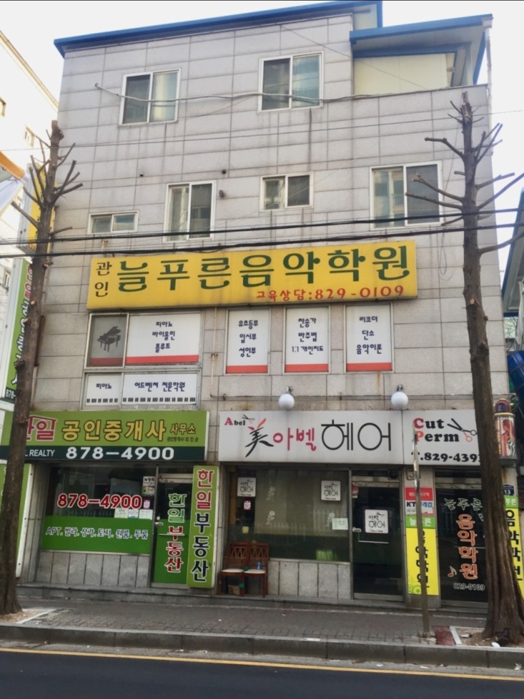 늘푸른음악학원