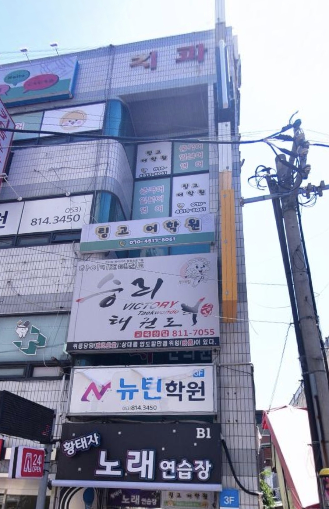 링고어학원