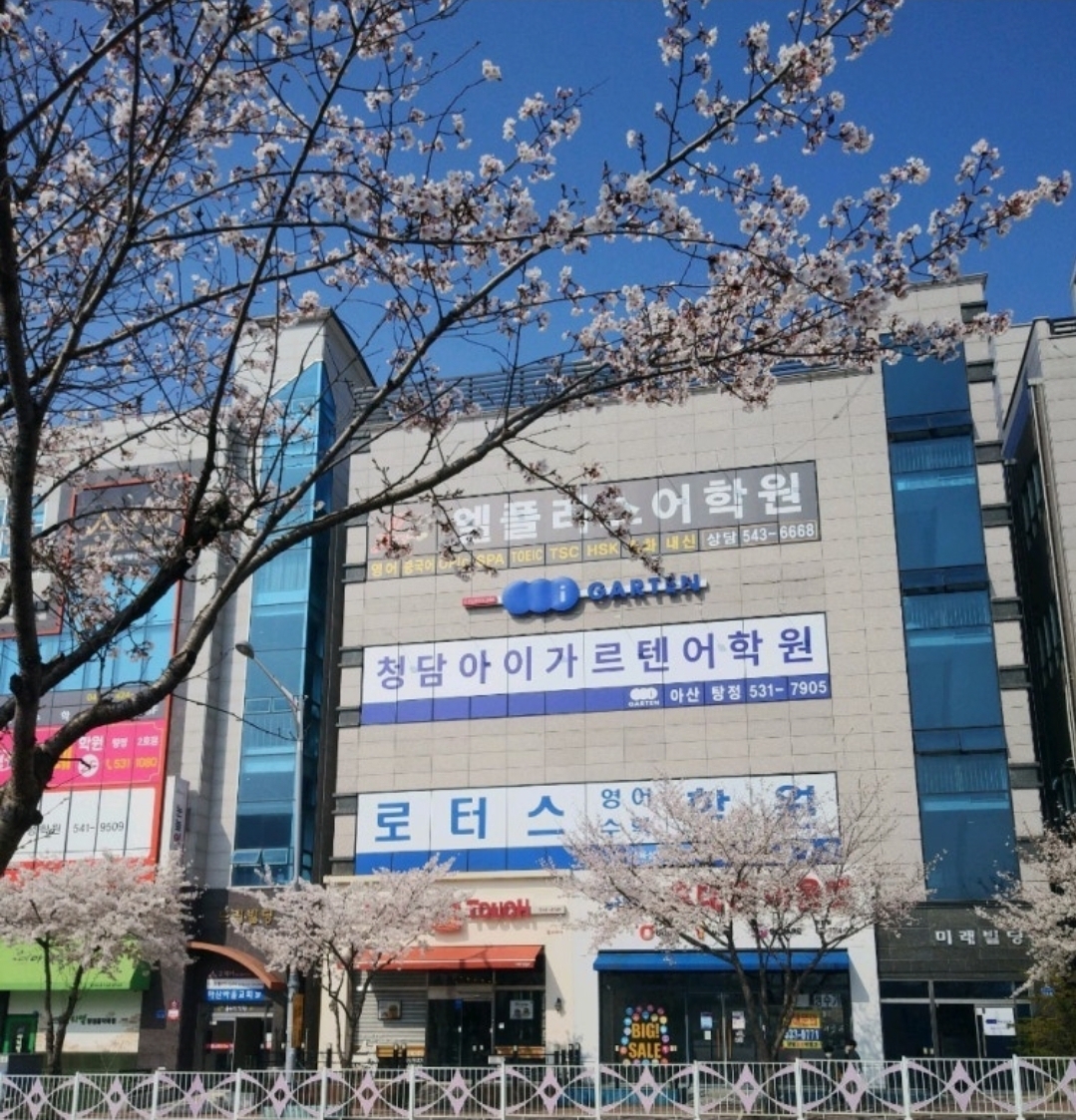 로터스학원