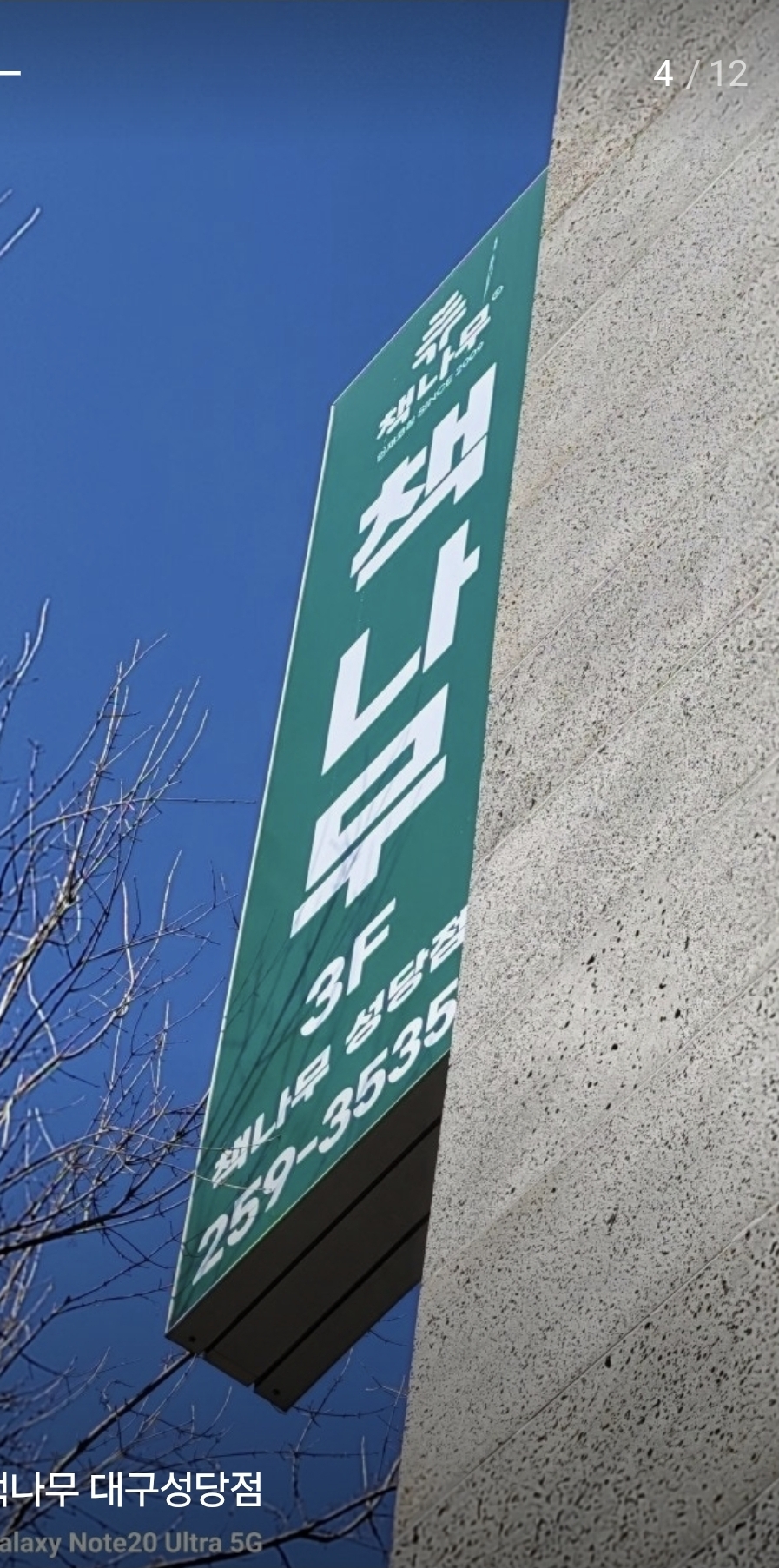 책나무 대구성당점