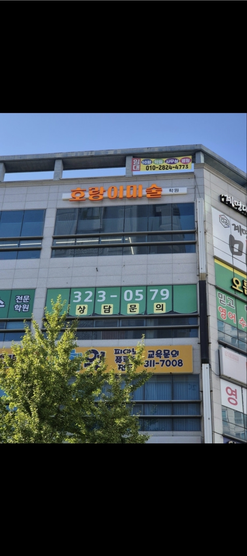 호랑이미술학원