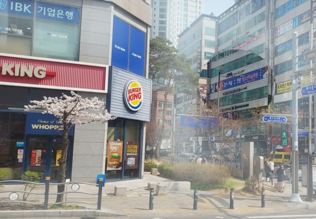 청미학청소년미술전문학원 동탄본원