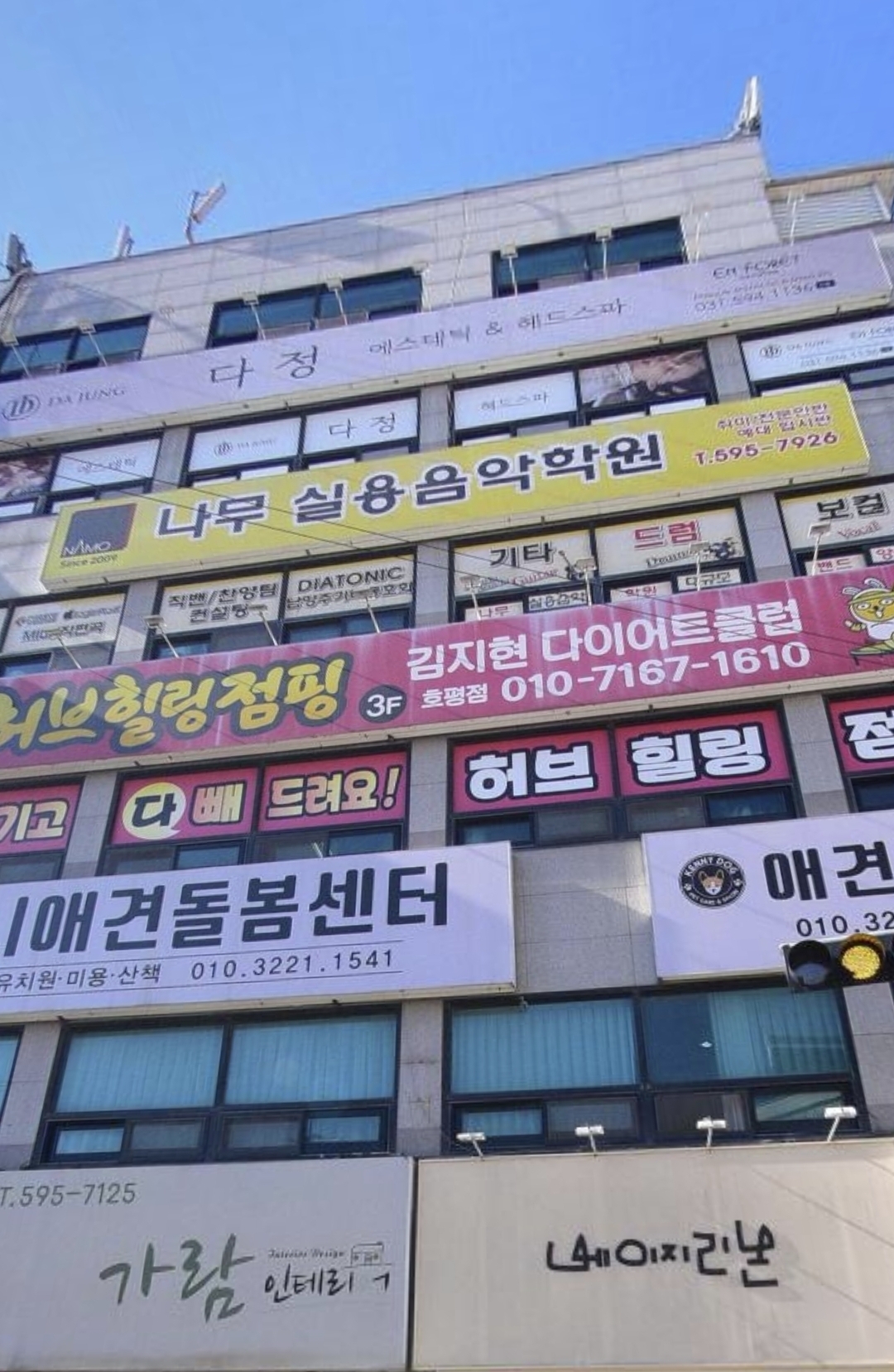 나무실용음악학원