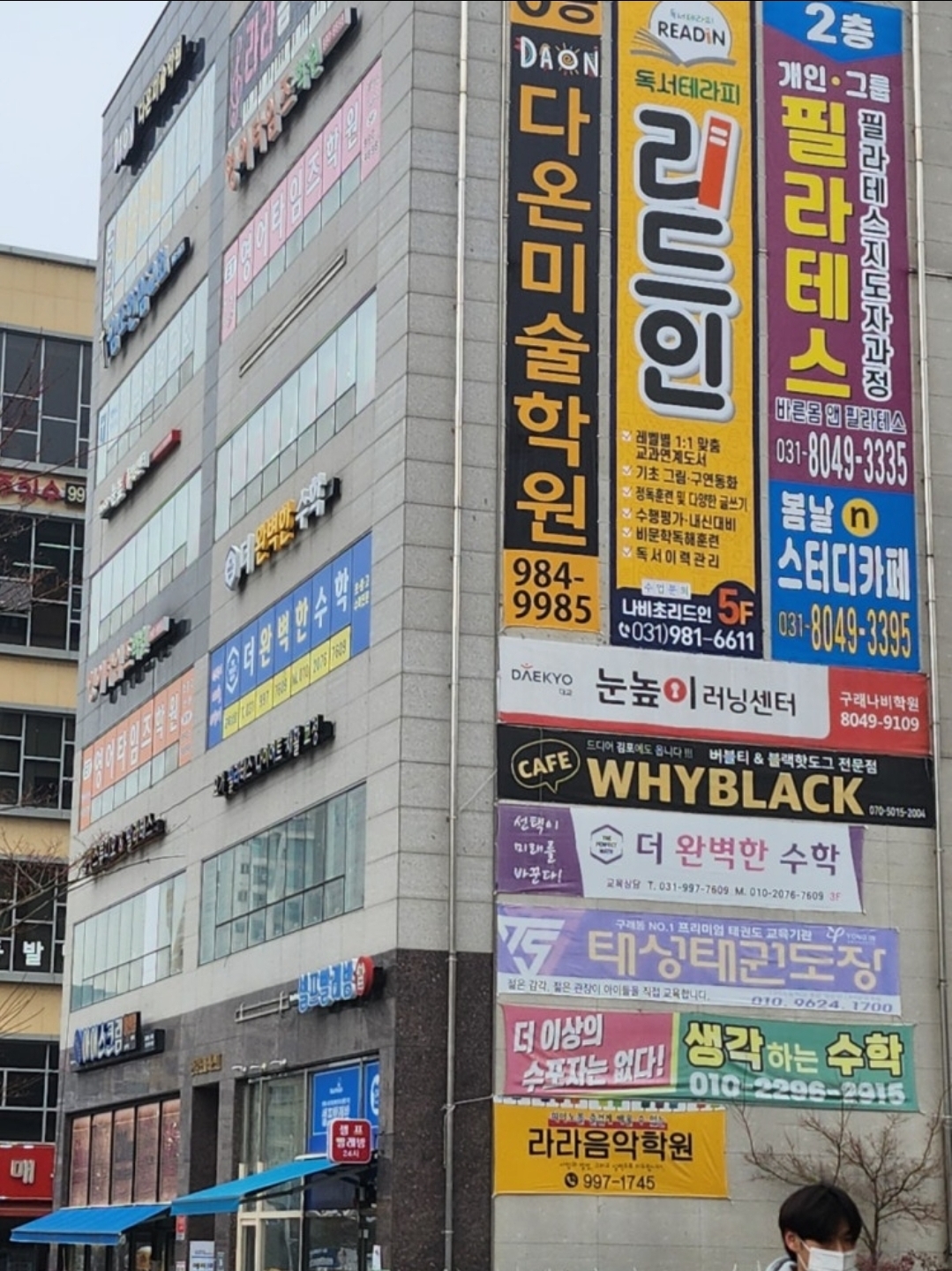 리드인 김포구래나비초
