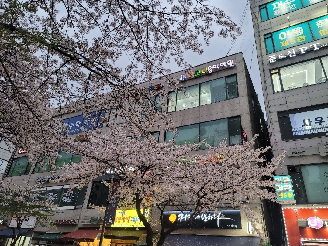 하모니음악학원