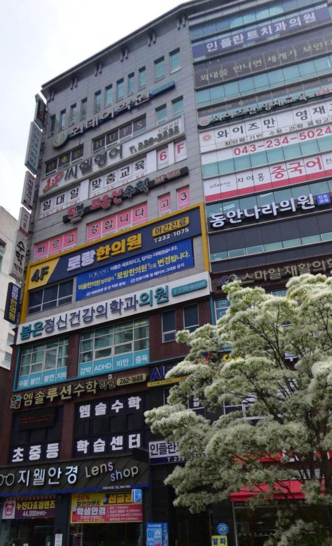 씨엘더프리미엄영어수학전문학원