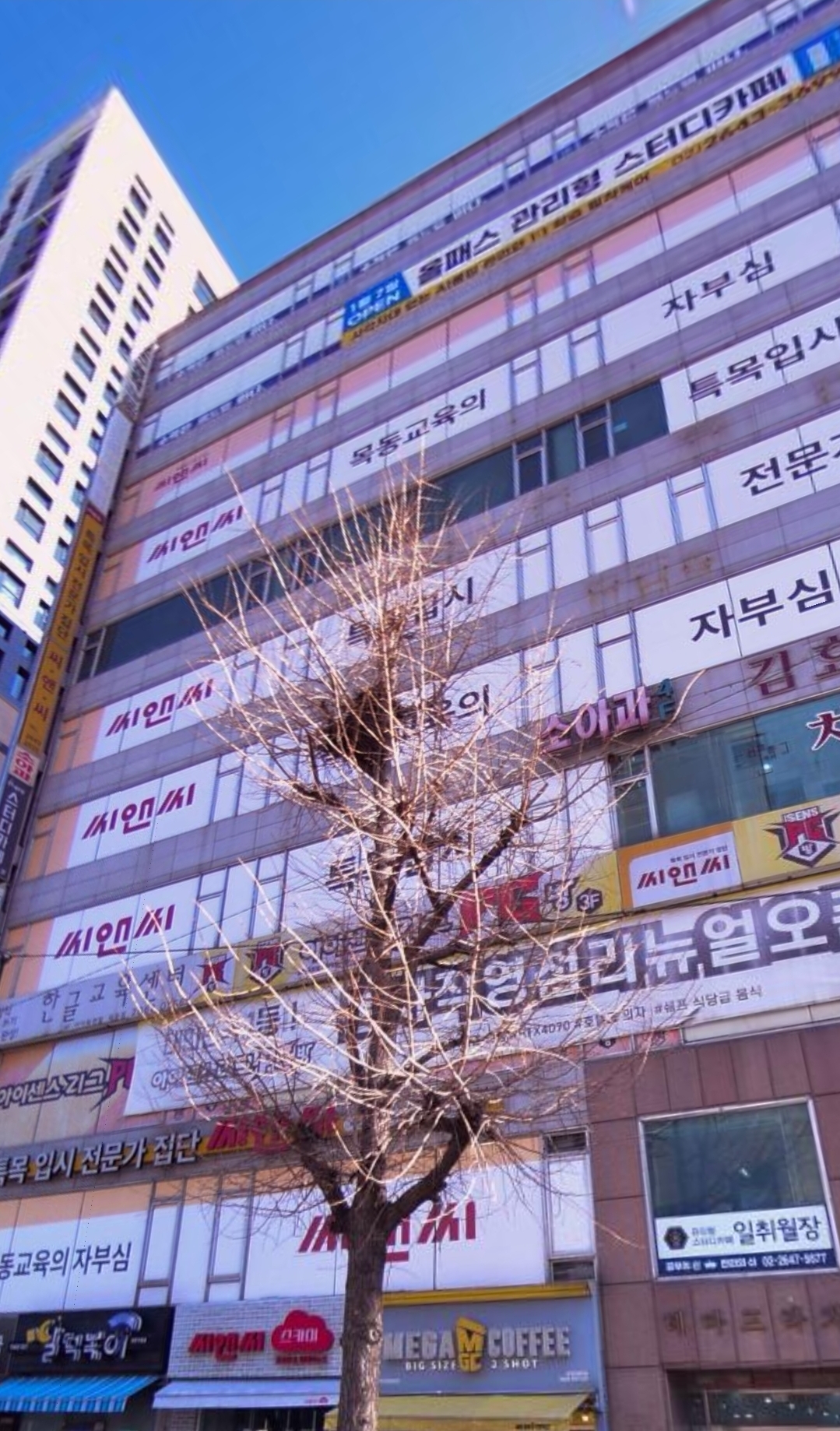 로드맵 수학학원