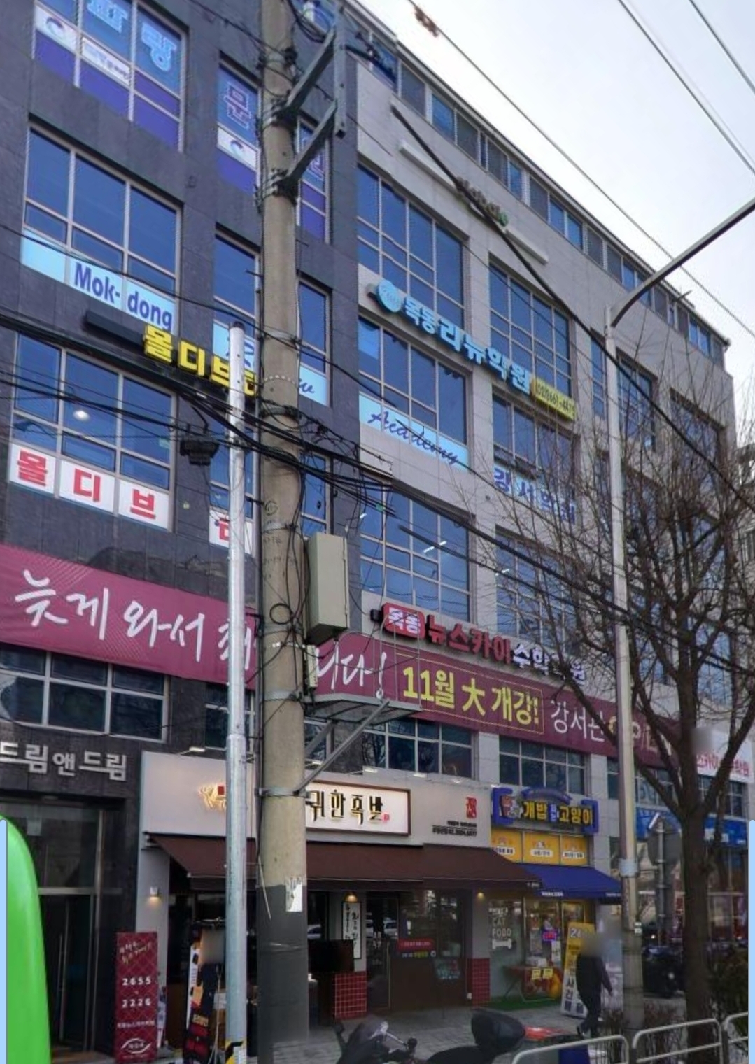 리뉴어학원 강서관
