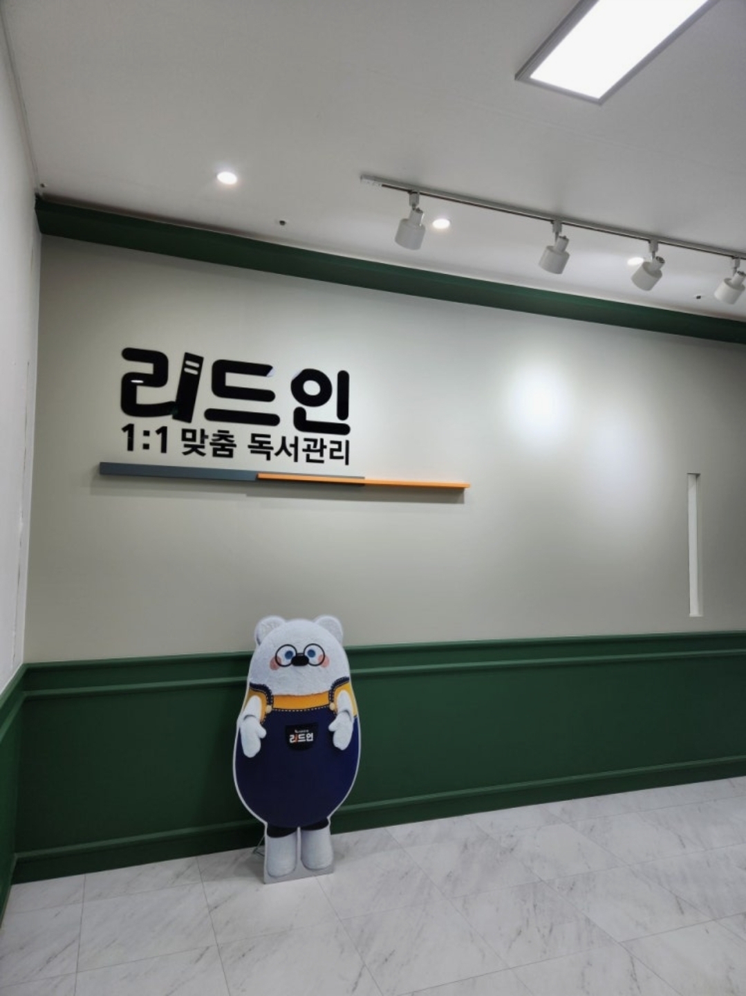리드인 모당초점