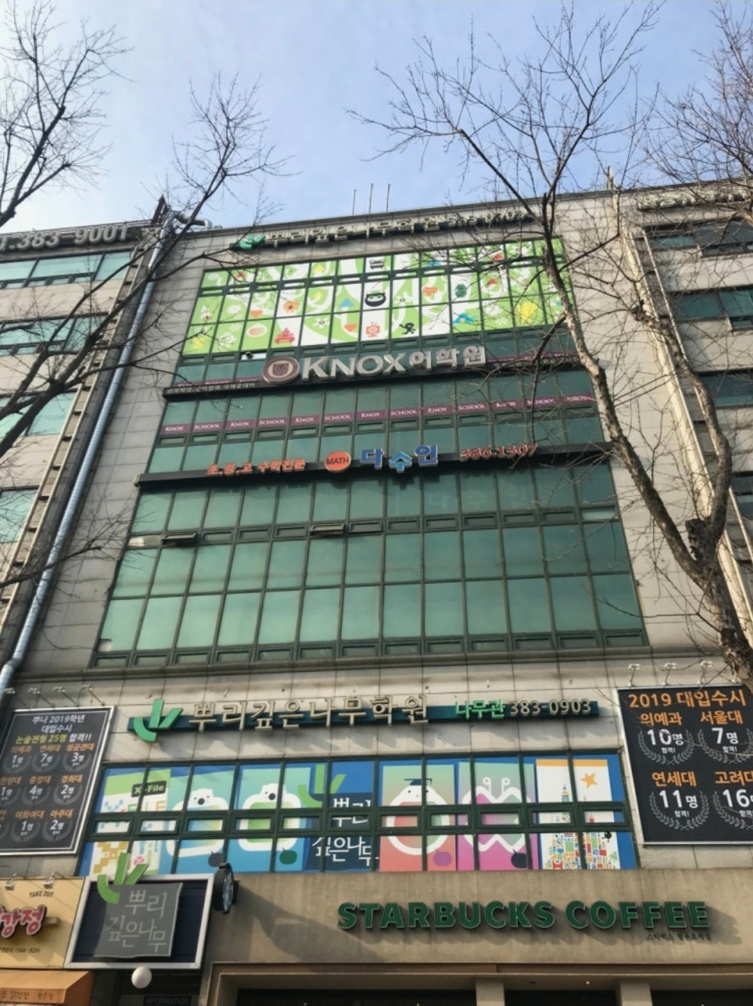 뿌리깊은나무학원나무관
