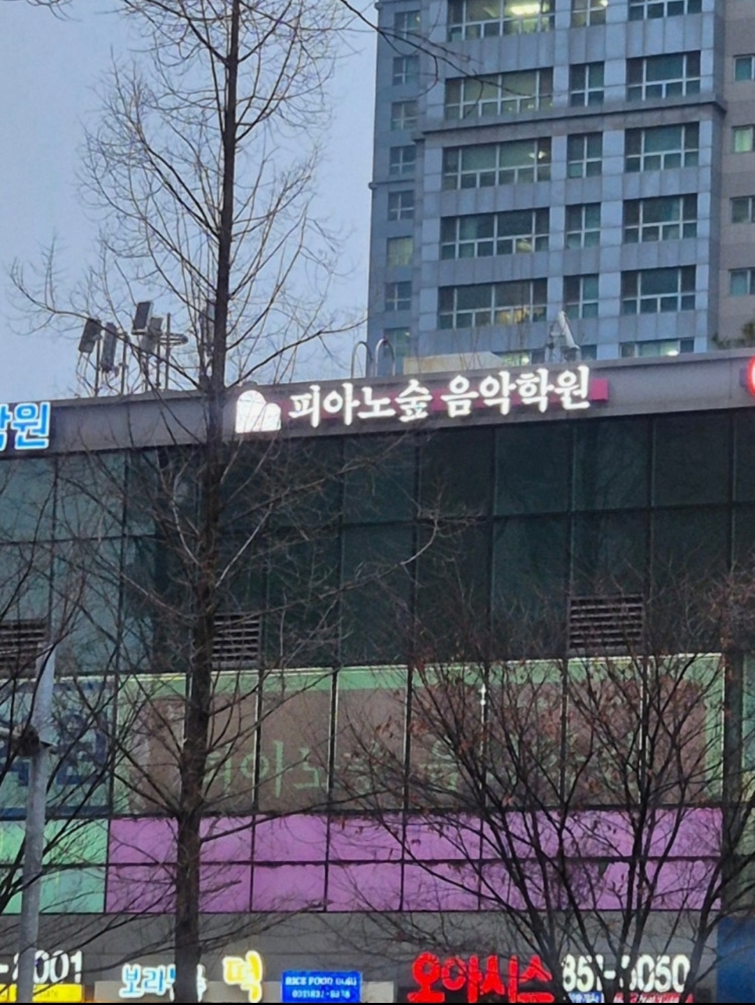 피아노숲음악학원