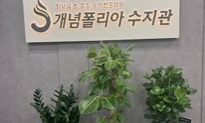 개념폴리아 수지관