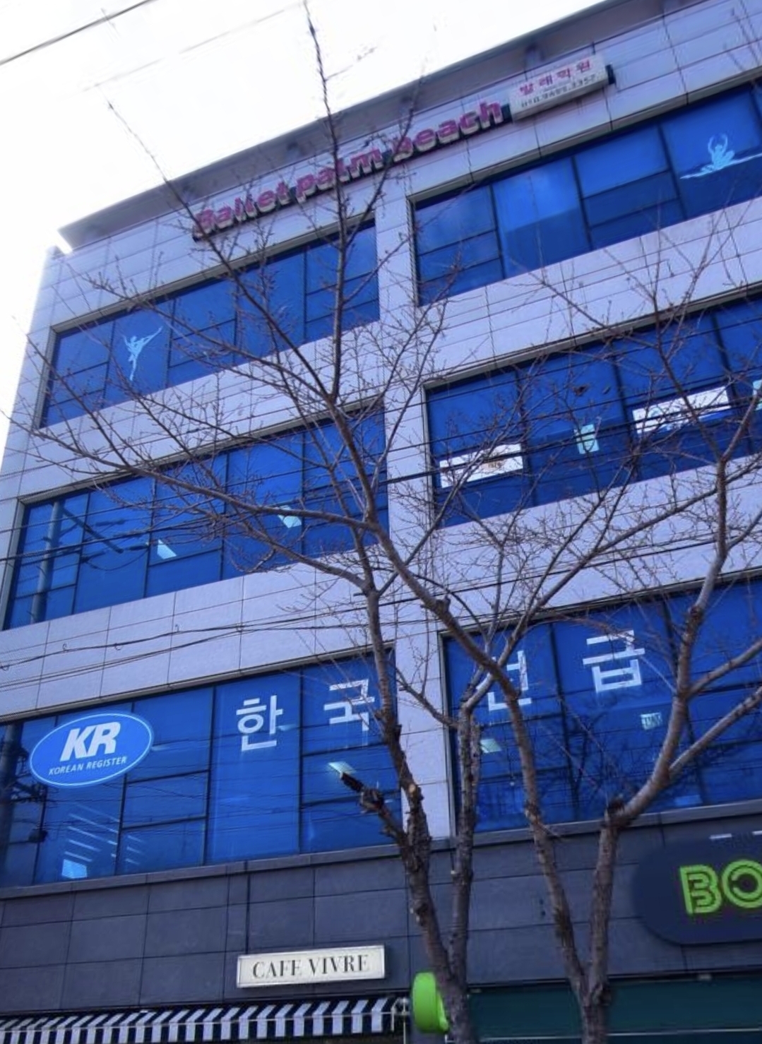 발레팜비치발레학원