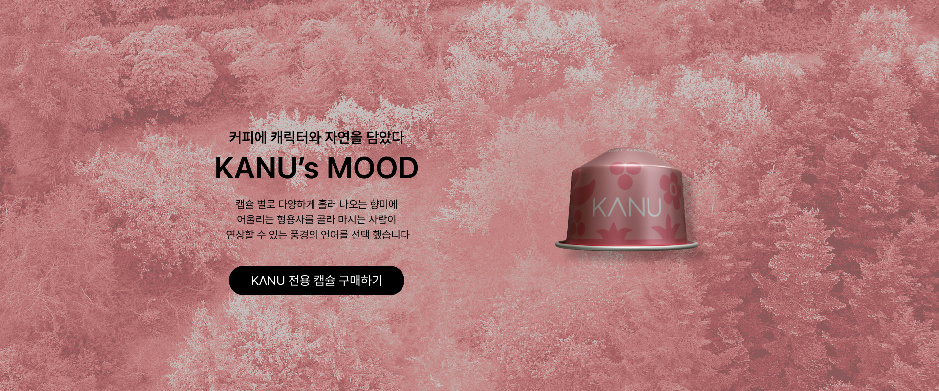 capsule_banner