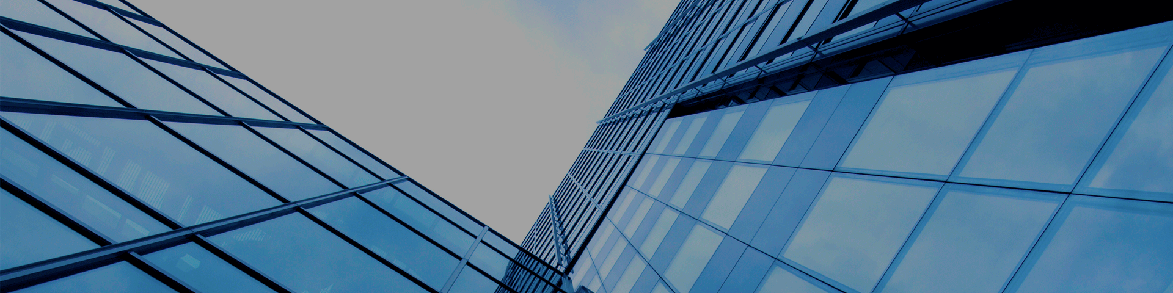 케이네트웍스대문