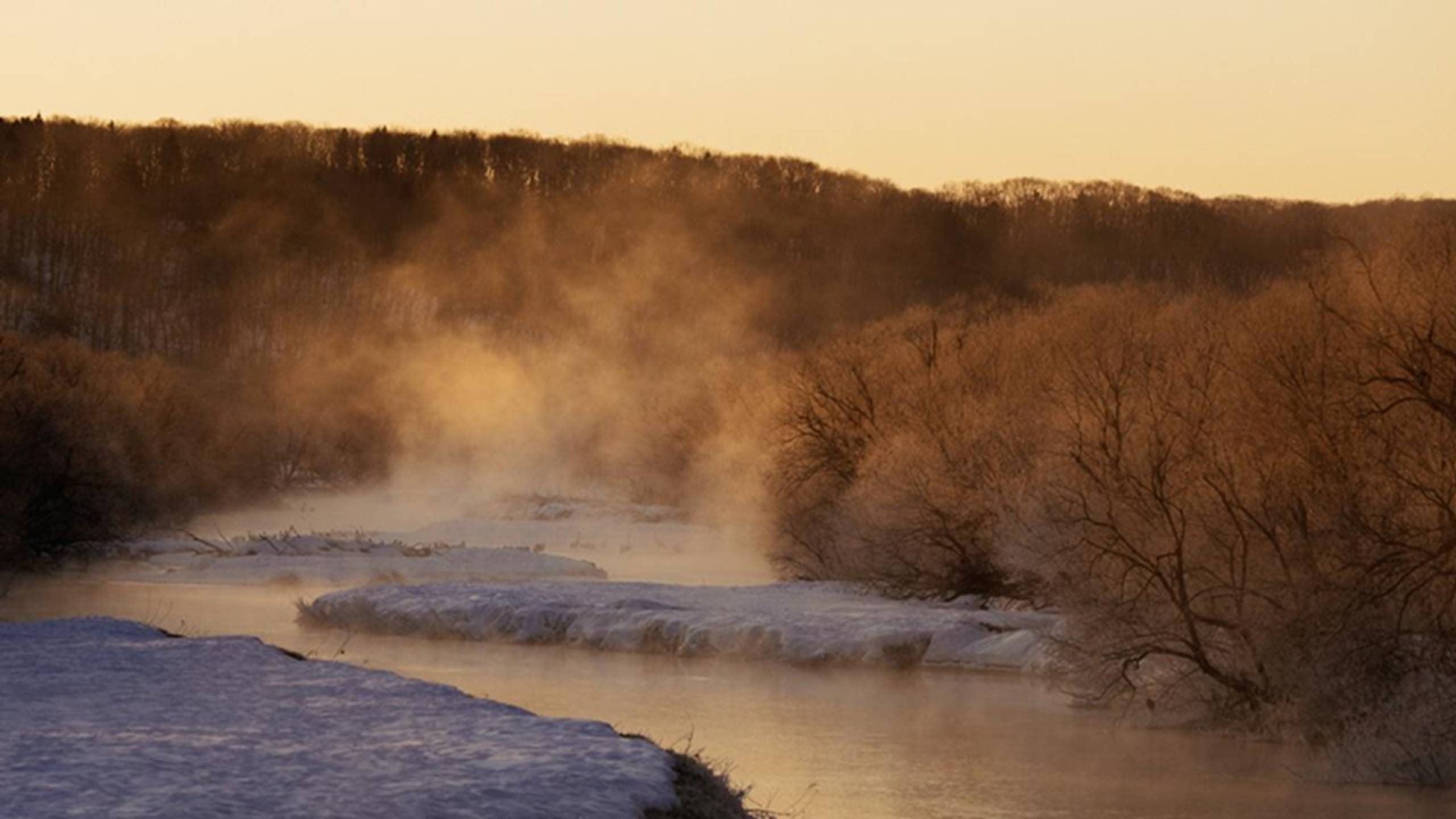 Artwork by Korean artist