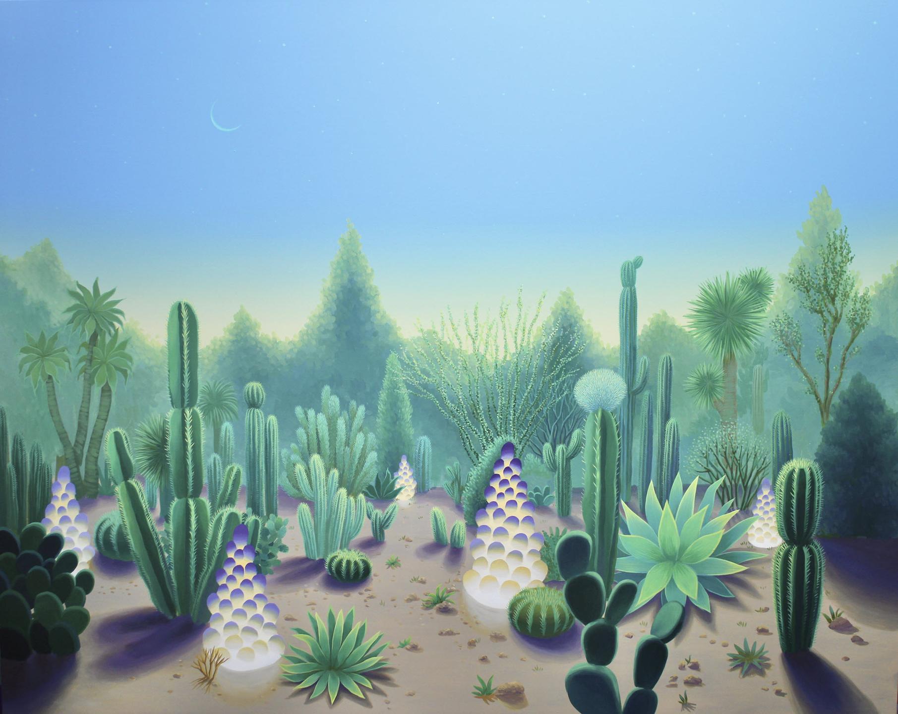 A desert garden