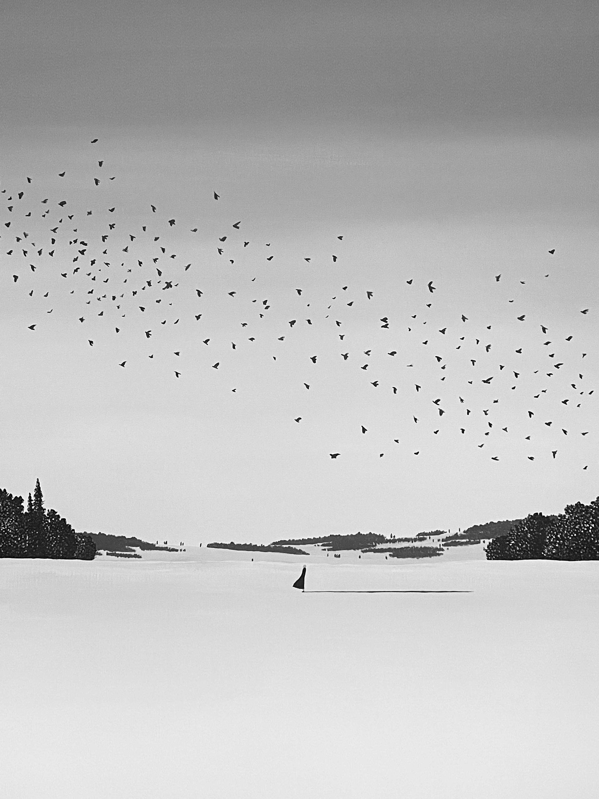 Artwork by Korean artist