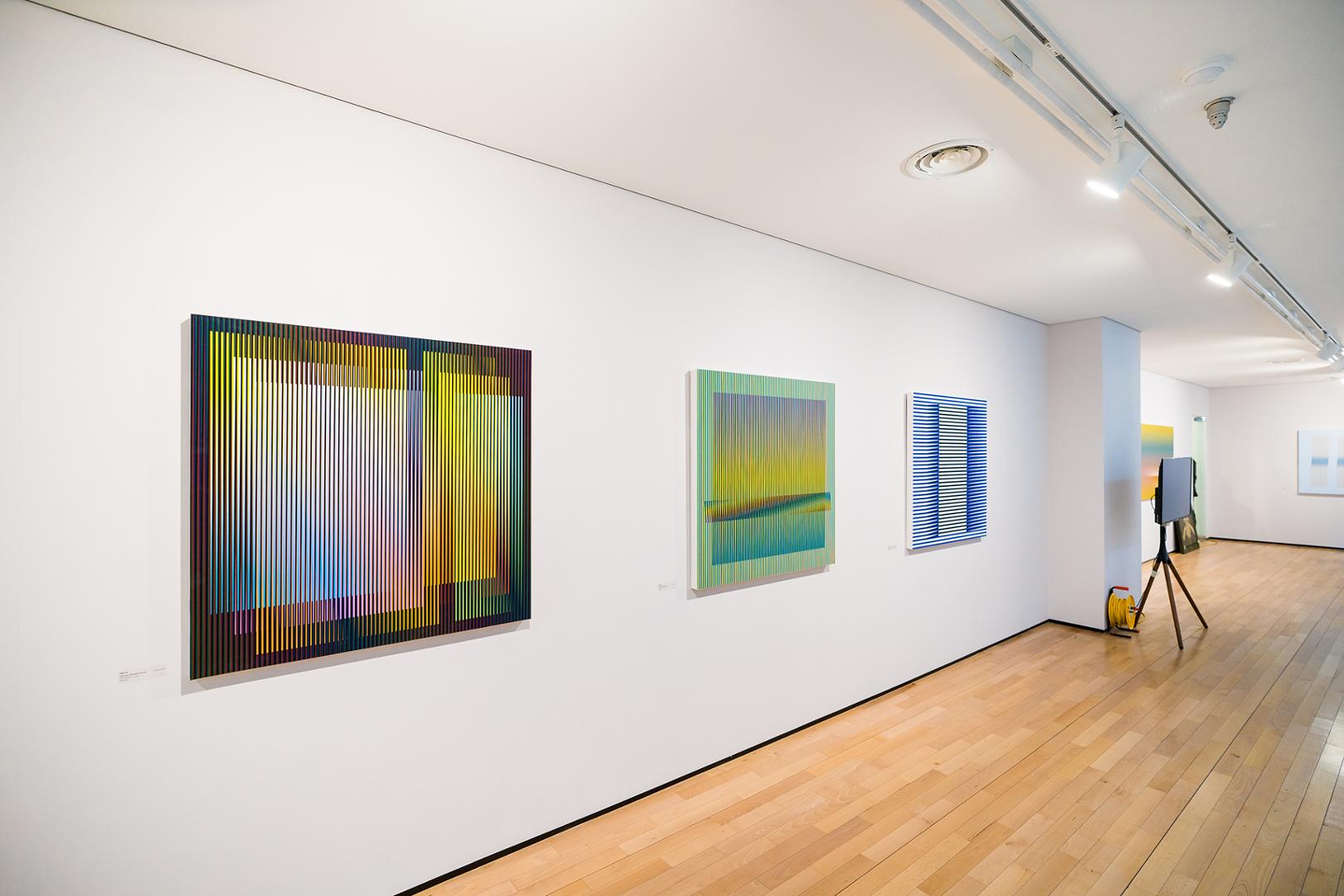 Carlos Cruz-diez: Color in space