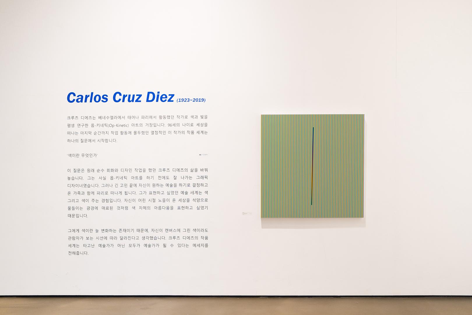 Carlos Cruz-diez: Color in space