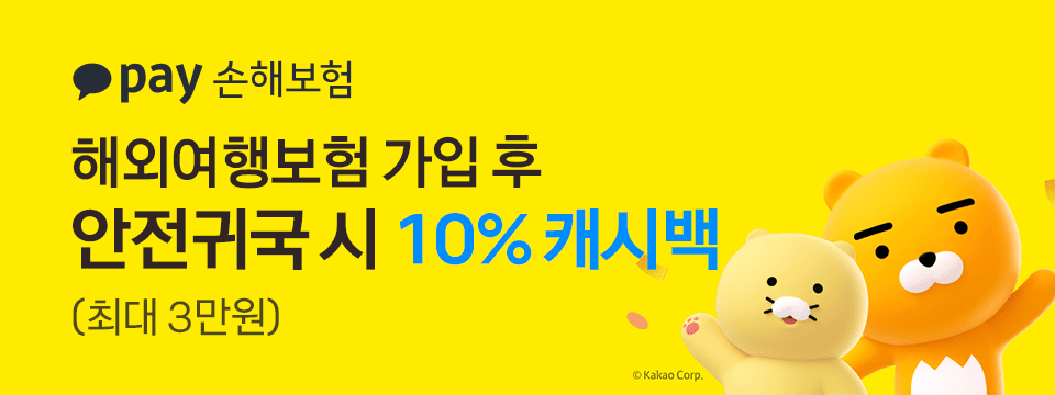 카카오페이 손해보험