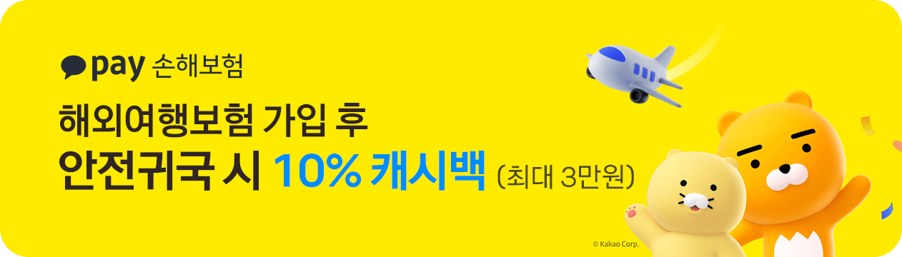 카카오페이 손해보험