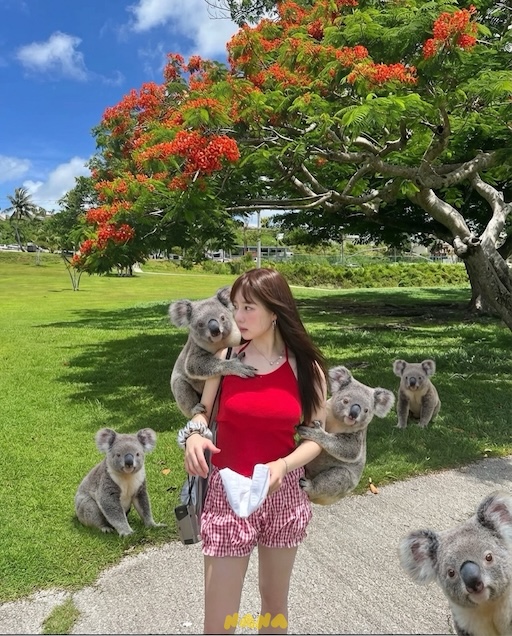 With koala