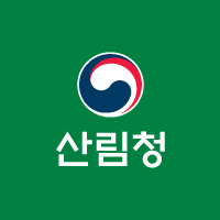 Visual 1