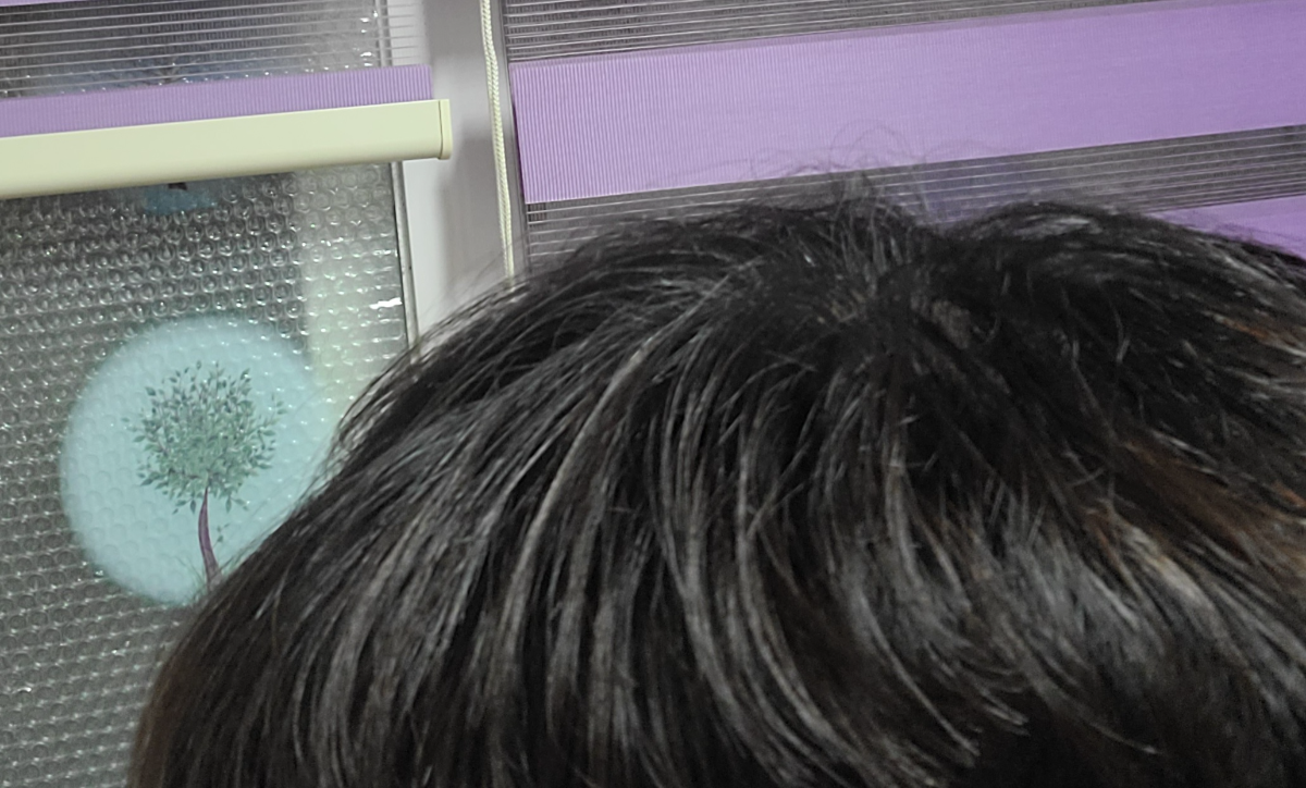 Visual 1