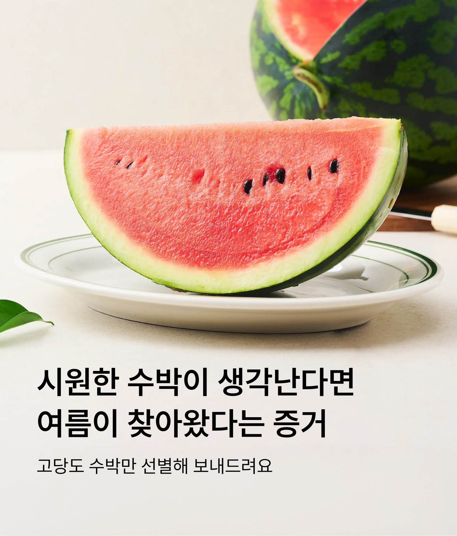 일반수박
