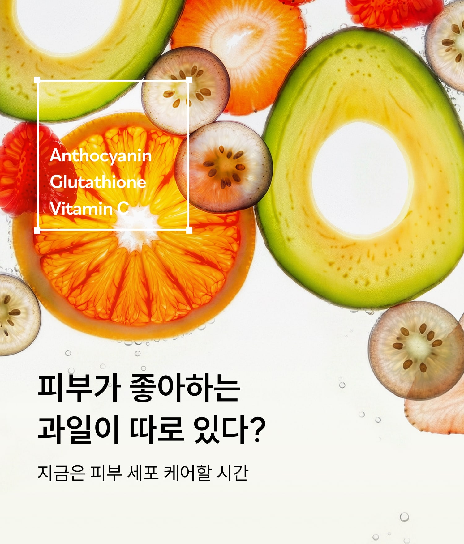 피부가 좋아하는 과일