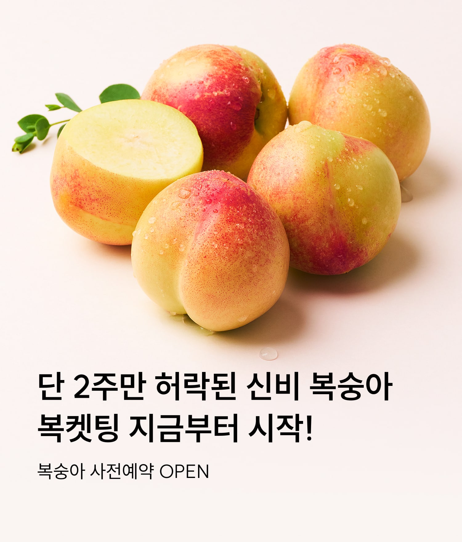 복숭아