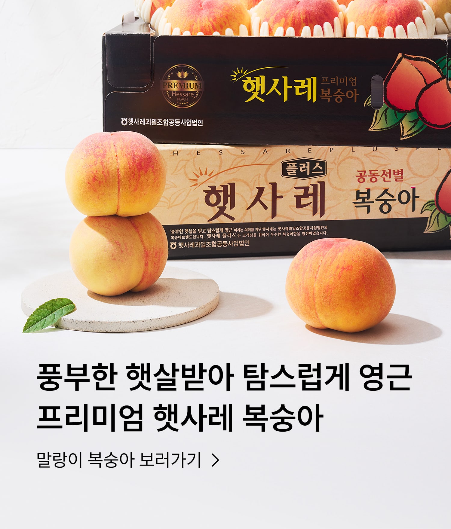 햇사레 복숭아