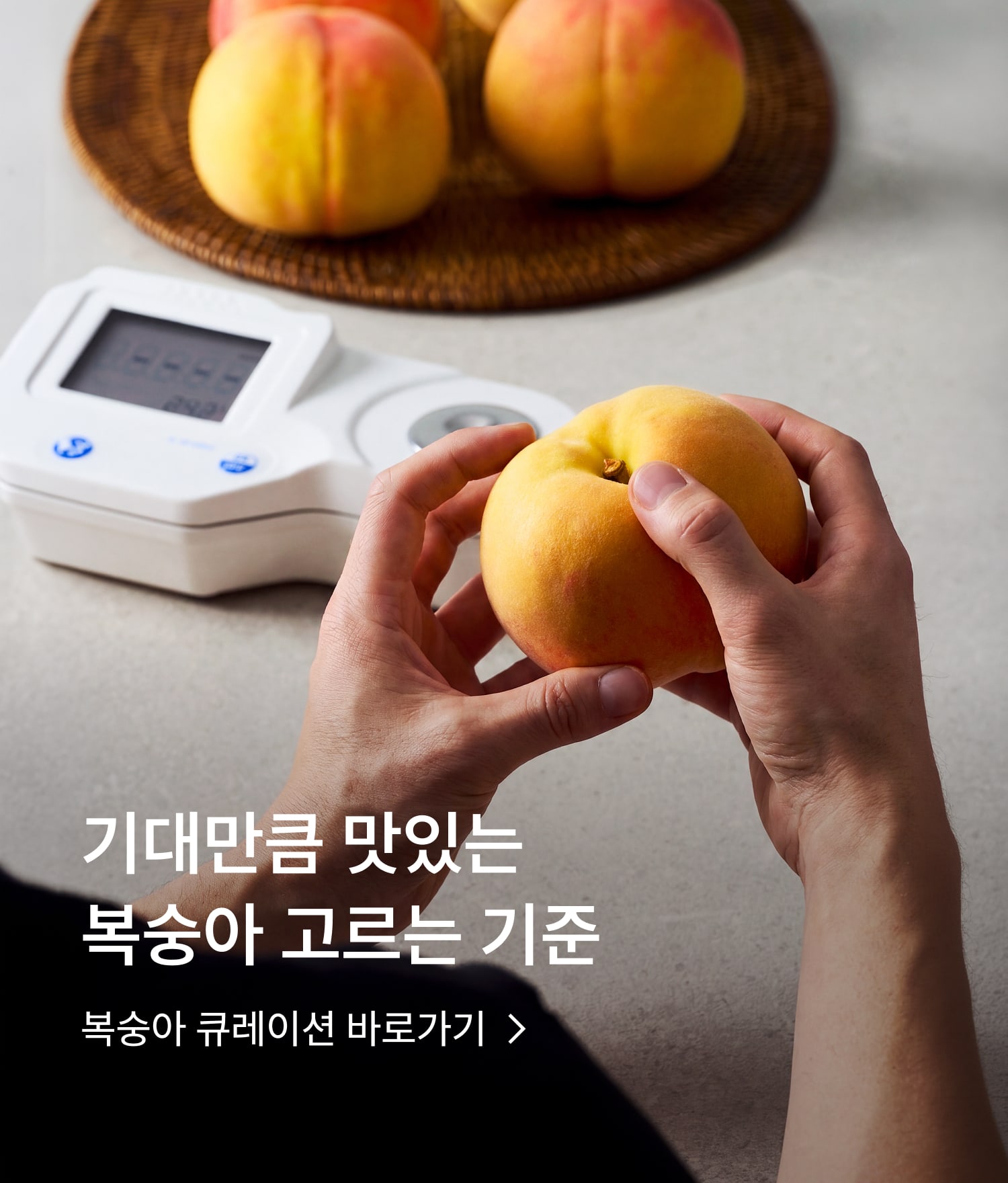 복숭아 큐레이션