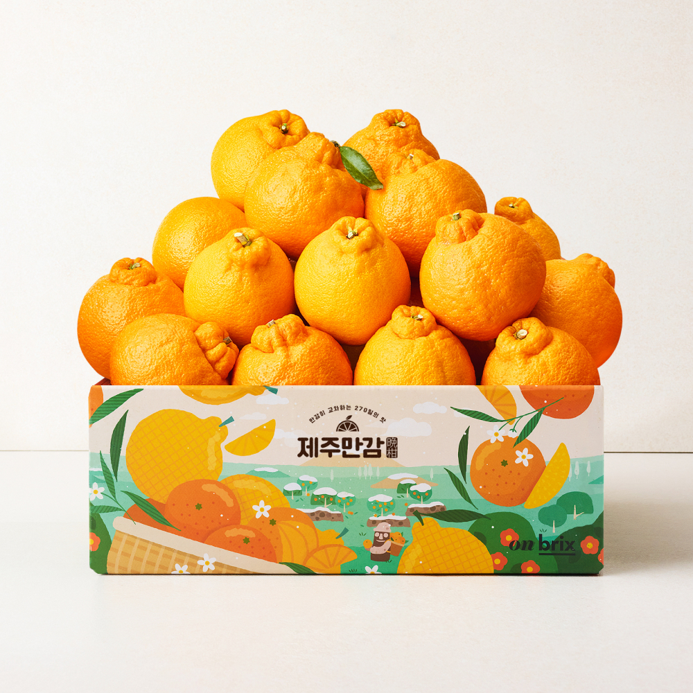 [산지직송] 고당도 제주 한라봉 1.5kg / 2.5kg / 4kg