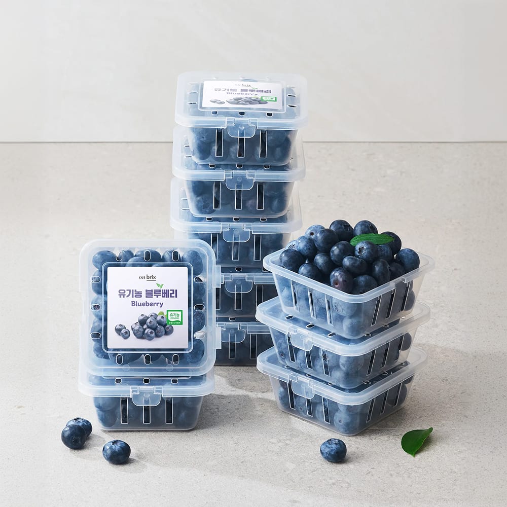 [새벽에On] 톡톡 터지는 달콤한 과육, 유기농 신틸라 블루베리 (로열과/특대과)