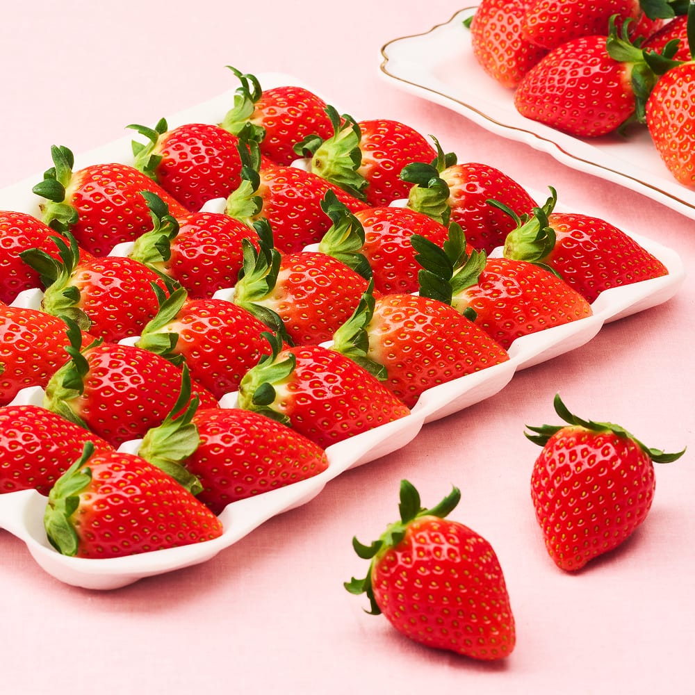 [아침 수확, 새벽 도착] 국내 최고급 품종, 고당도 산청 금실 딸기 400g / 750g