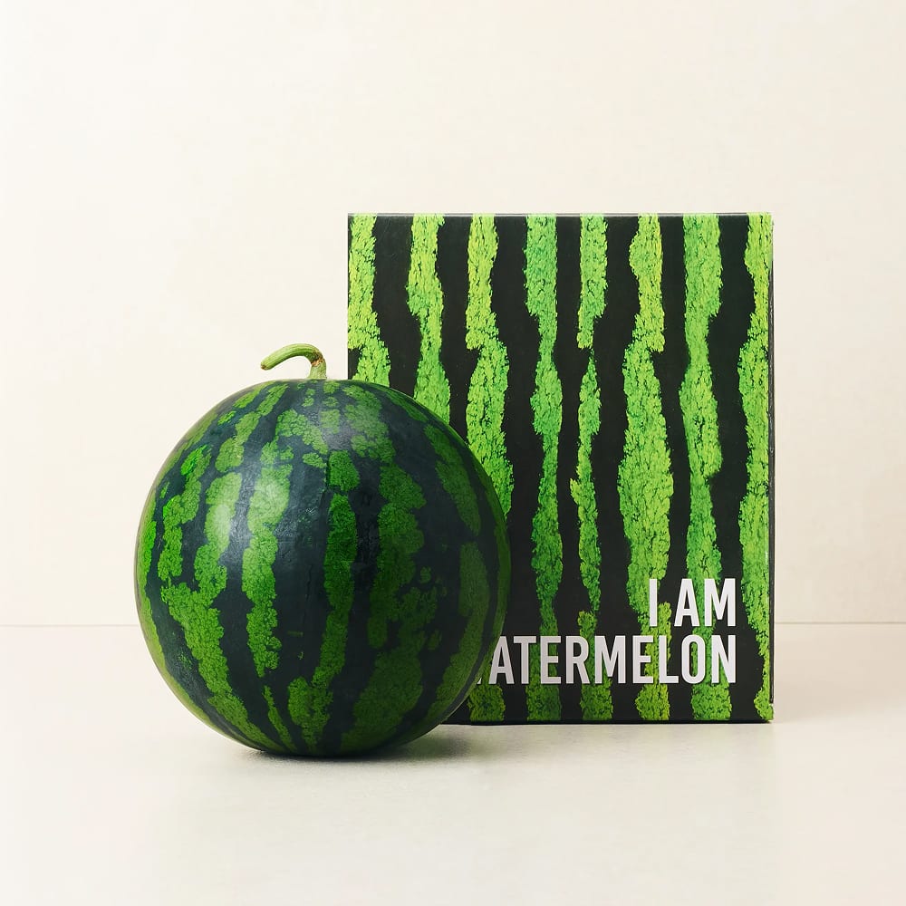 [새벽에On] 천천히 익어 더욱 아삭한, 고당도 함안 수박 5kg / 6kg