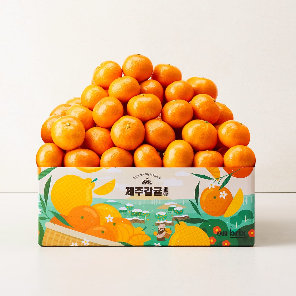 [산지직송] 효돈농협 당도선별 고당도 제주 노지 타이벡 감귤 1.5kg / 2.5kg / 4.5kg (12Brix/로열과)
