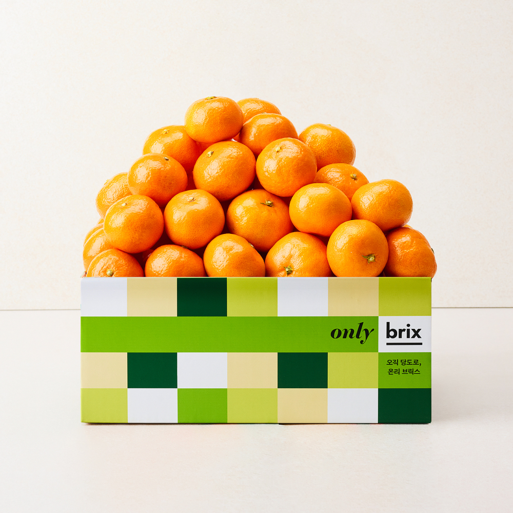 [산지직송] 온리브릭스 효돈농협 고당도 감귤 2.5kg(13brix/특품)