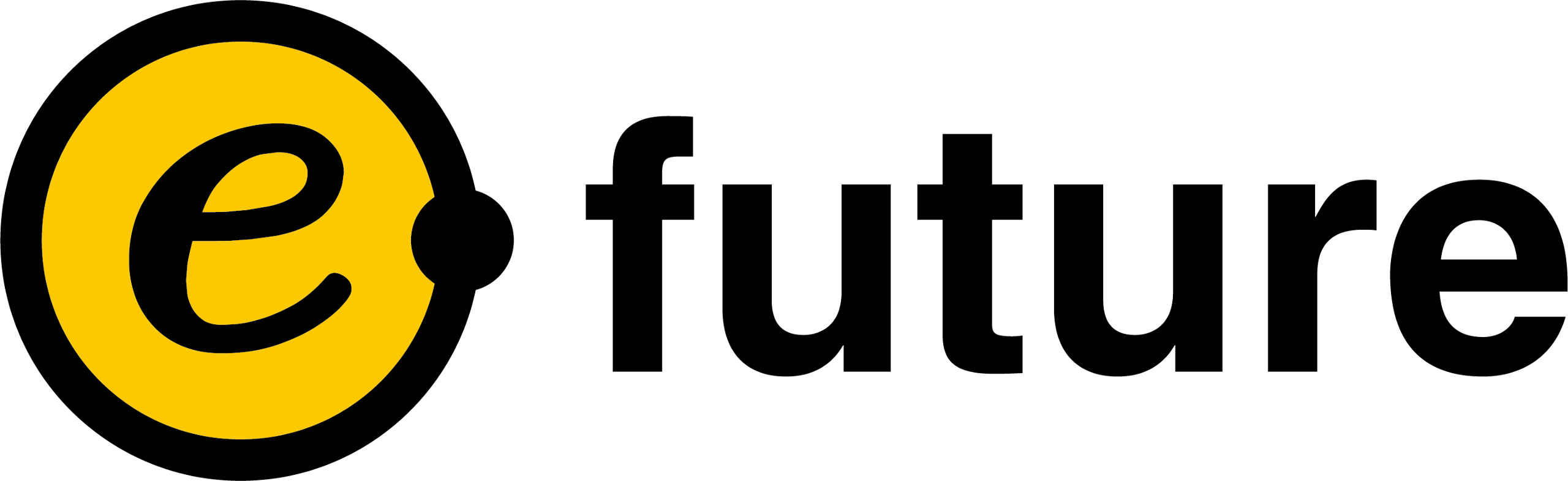 e-future Co., Ltd.