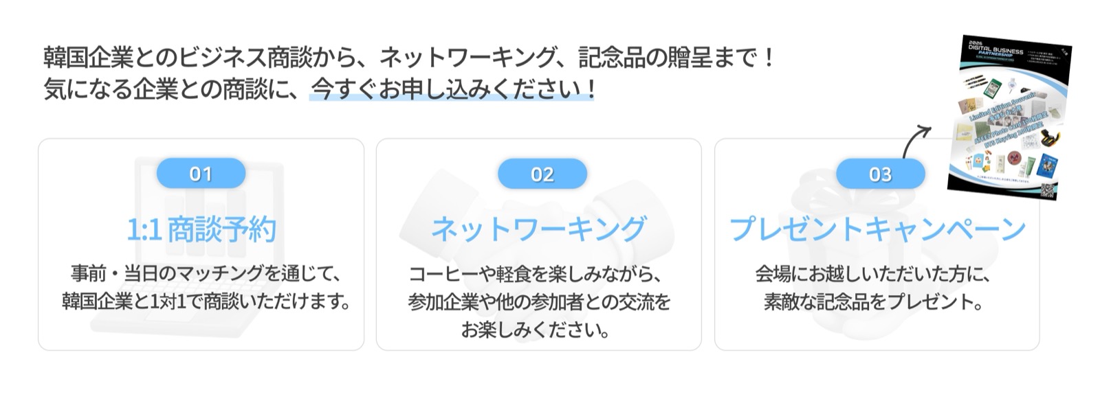 program