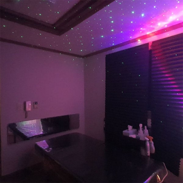 제우스 스웨디시 2